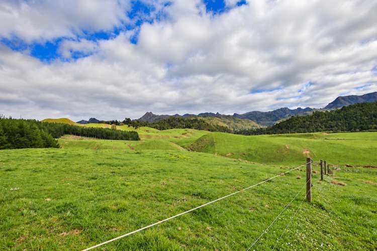 46 Hikuai School Road Hikuai_22