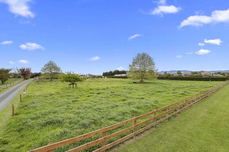 547 Taihoa South Road Matamata_29