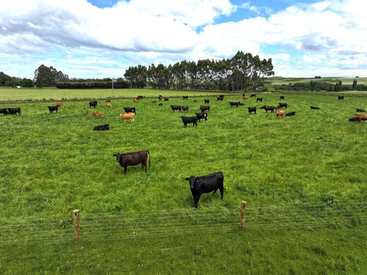 1965 Ohai Clifden Highway Merrivale_9