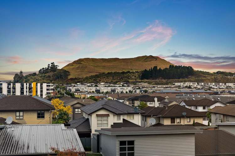 53 Barbarich Drive Stonefields_16