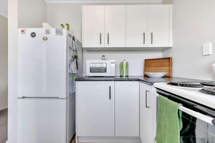 25B Otonga Road Springfield_15