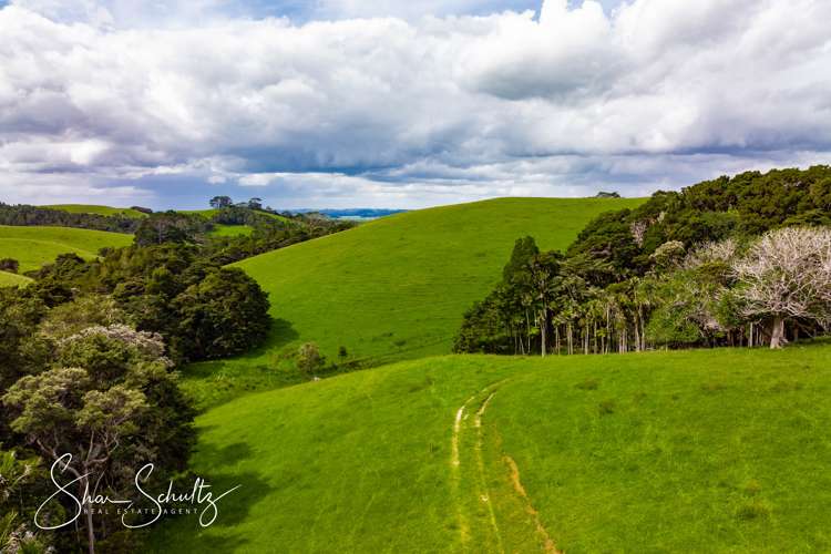 1509 Tinopai Road Tinopai_6