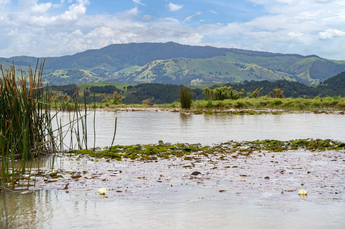 207 Aponga Stream Road_5