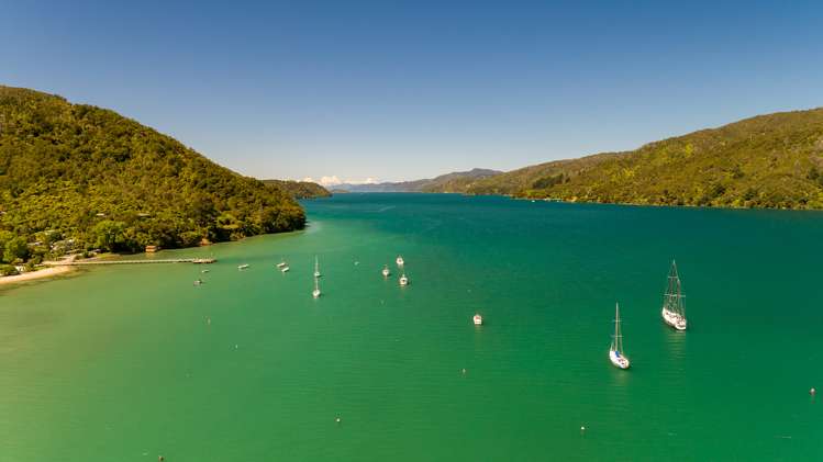 359 Anakiwa Road Anakiwa and Surrounds_22