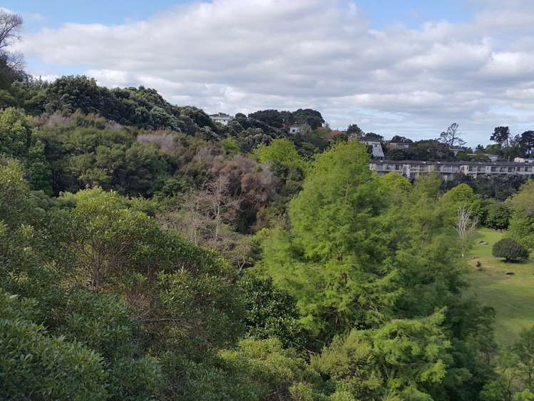 3j Laxon Terrace Remuera_15