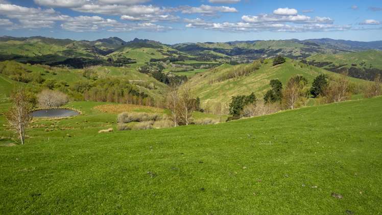 851 Clifton Grove Road Gladstone_17