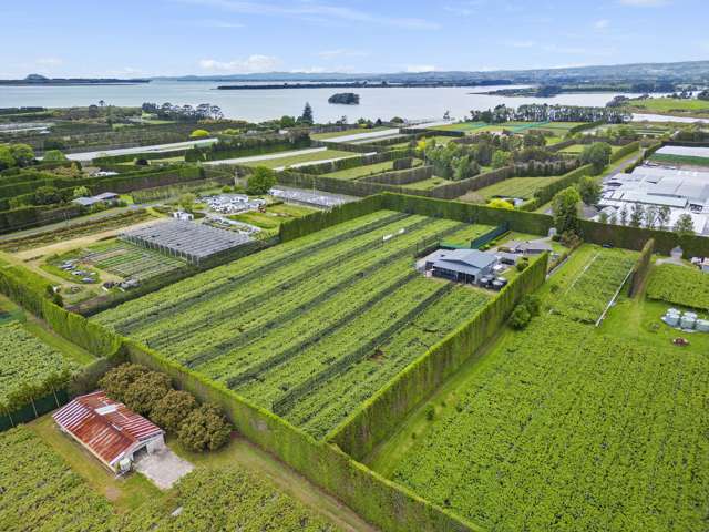 151 Beach Road Katikati_3