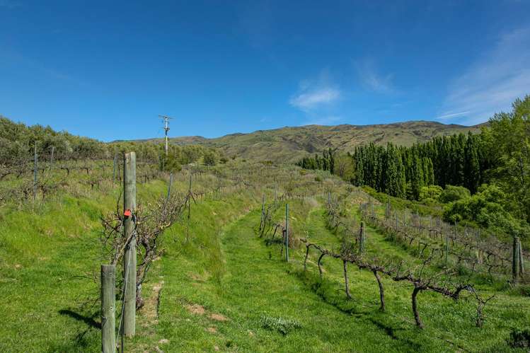 741 Bannockburn Road, Bannockburn Cromwell_33