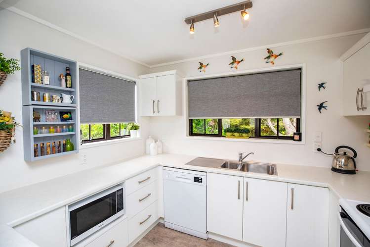 9a Campbell Street Maori Hill_8