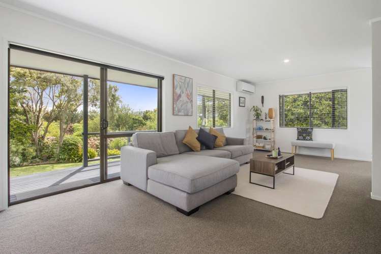 23 Princes Street Katikati_9