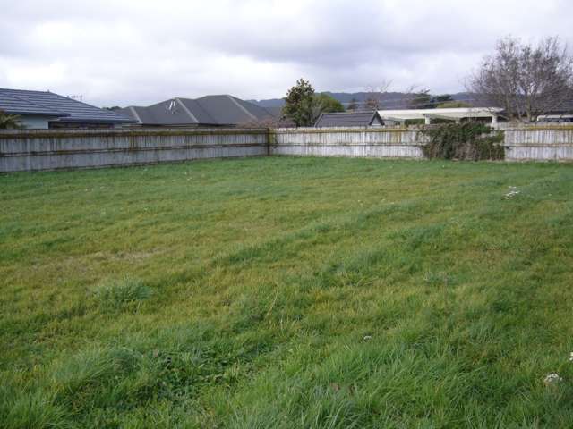 18 Weld Street Levin_3