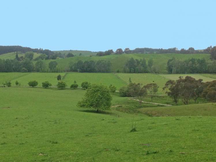 545 Waiwhero Road Ngatimoti_24