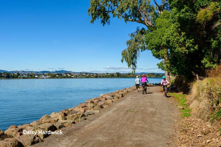 62 Kulim Avenue Otumoetai_17