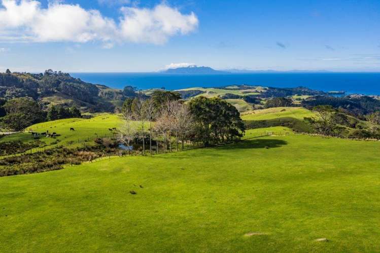 Lot 2 Rodney Road, Whangateau Leigh_1