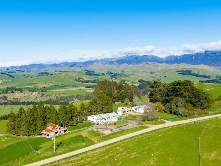 1139 Blackburn Road Central Hawkes Bay_16