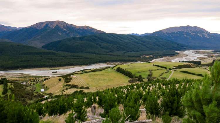 6331 State Highway 63 Wairau Valley_7