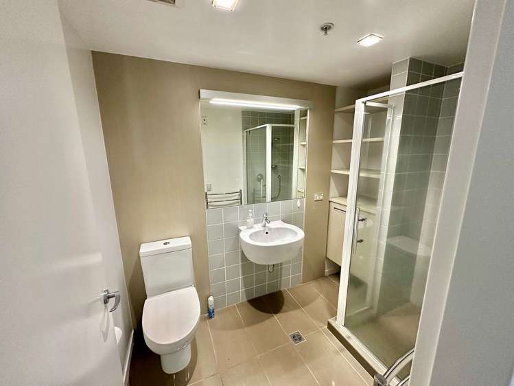 3g/11 Tennyson Street Te Aro_12