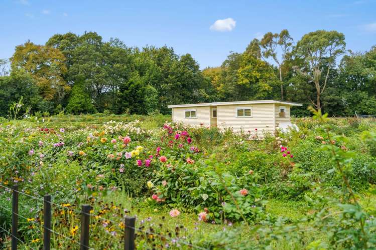 288 Oropi Gorge Road Oropi_29