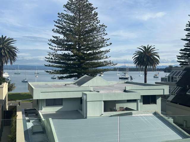 3b Prince Avenue Mount Maunganui_1