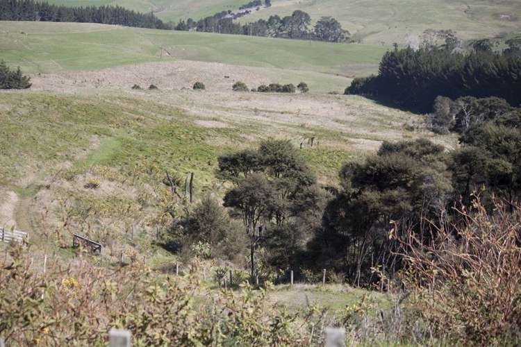 95 Oyster Point Road Kaukapakapa_0