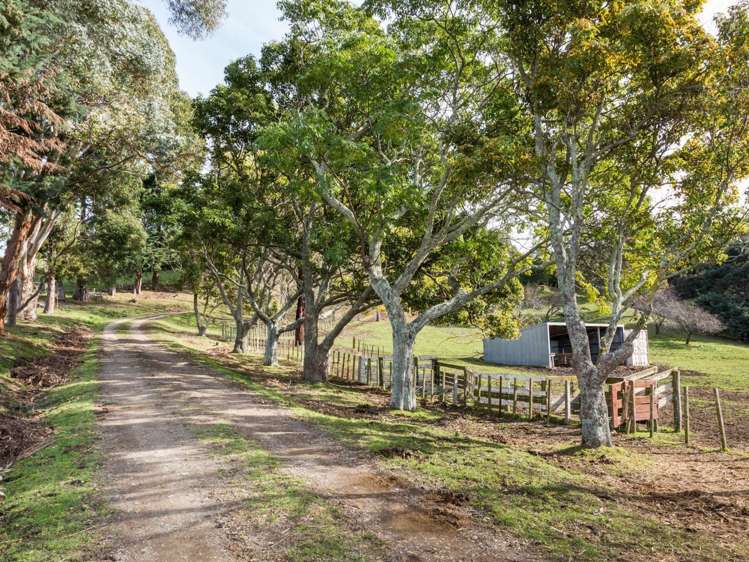 138 Seafield Road Eskdale_16