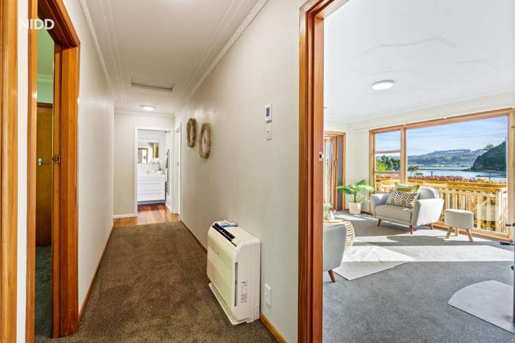 38a Somerville Street Andersons Bay_11
