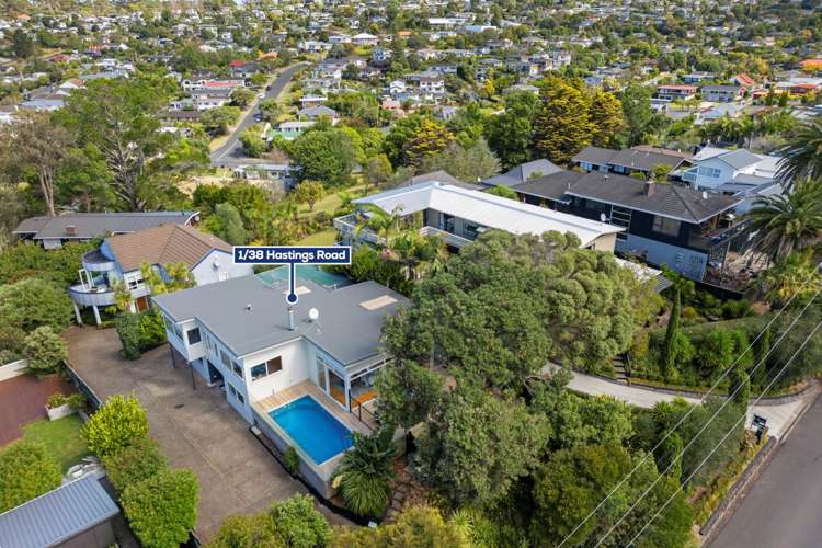 1/38 Hastings Road Mairangi Bay_39