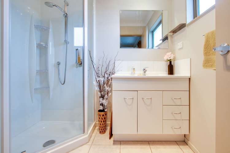 2 Norfolk Street Tamatea_14