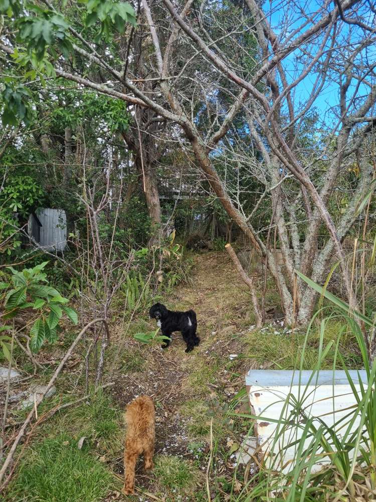 1434 Whangaparaoa Road Army Bay_14