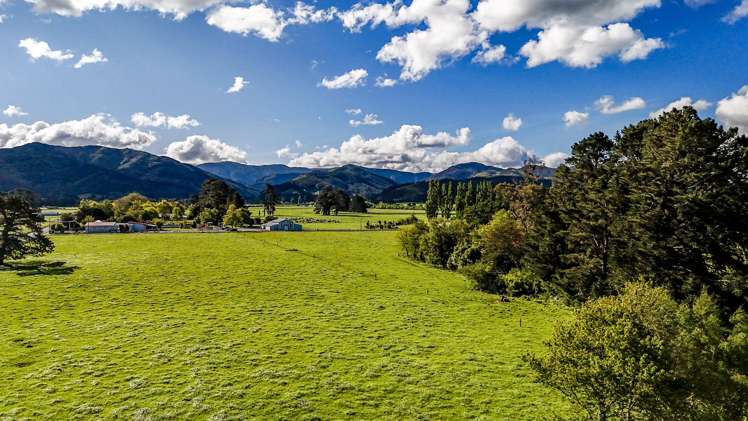 382 Dalefield Road Carterton_14