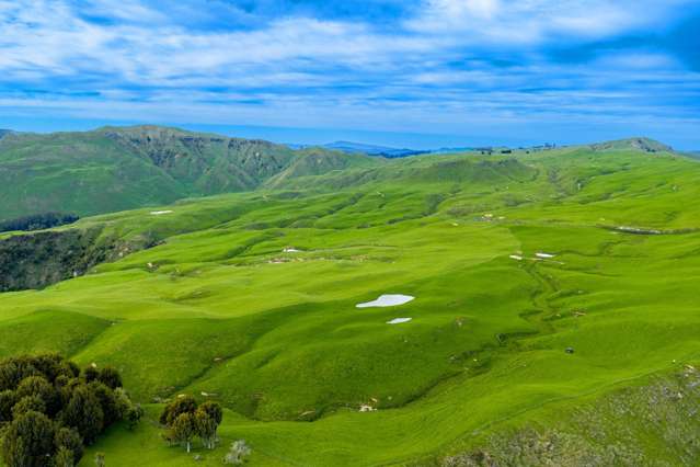 439 Rakauroa Road Matawai_2