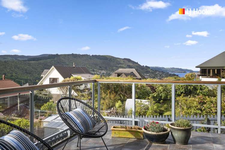 239 Larnach Road Waverley_2