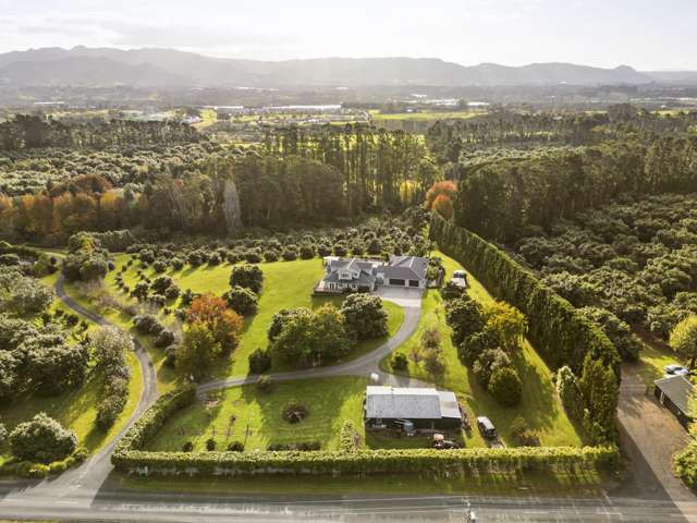 93a Walker Road East Katikati_2
