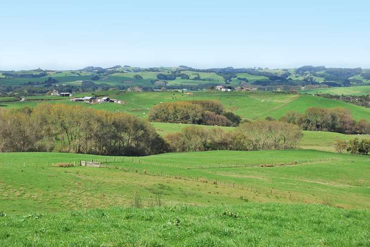 Kaiwaka-Mangawhai Road Kaiwaka_12