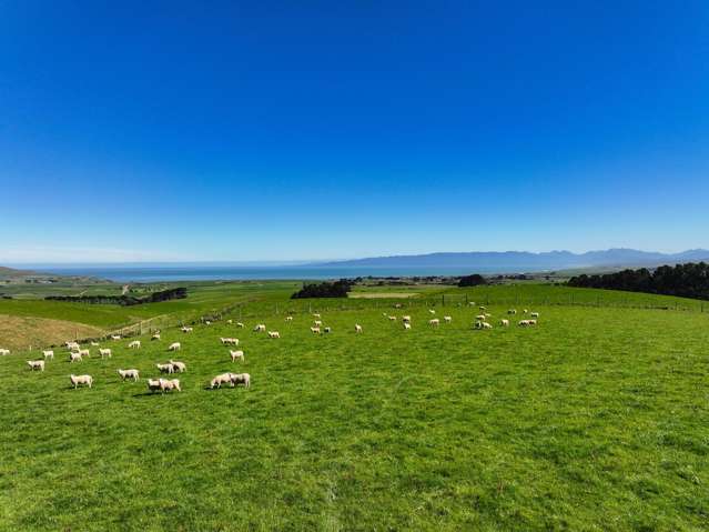 330 and 380 Falls Creek Road Orepuki_1