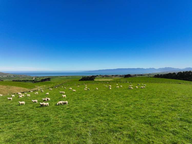 330 and 380 Falls Creek Road Orepuki_1