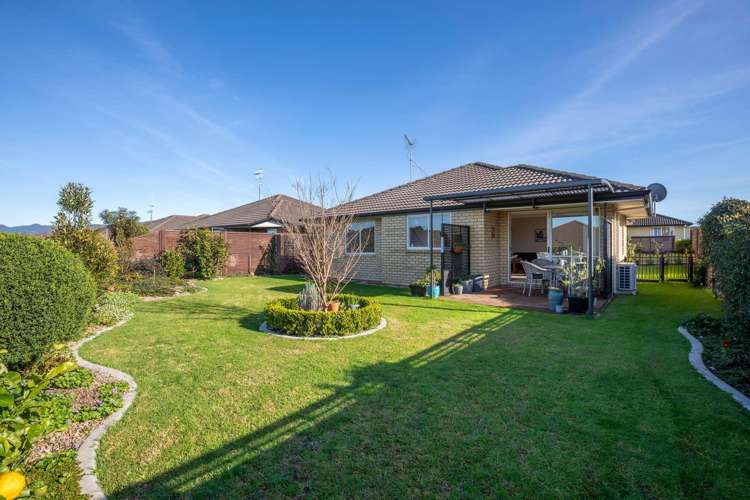 23 Malta Crescent Katikati_1
