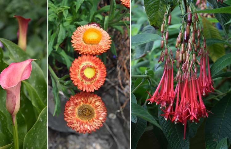 318 Franklin Road Paparoa_64