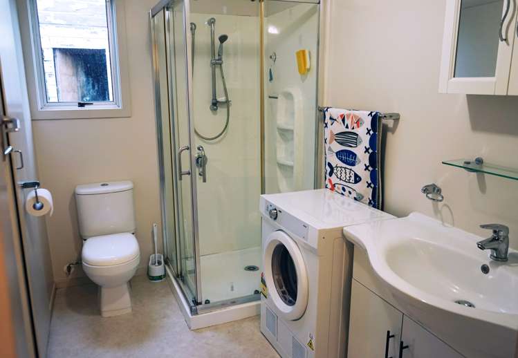 3 Greenfield Street Hector_6