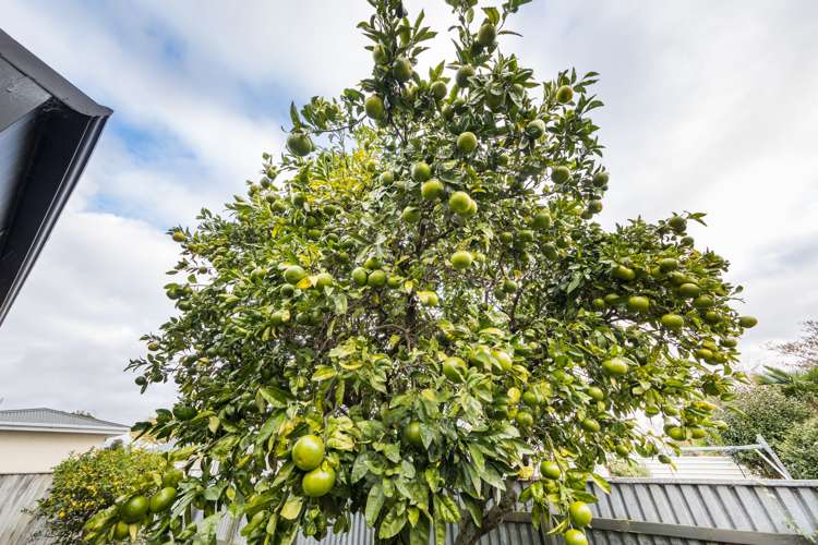 2a Hendon Place West End_16