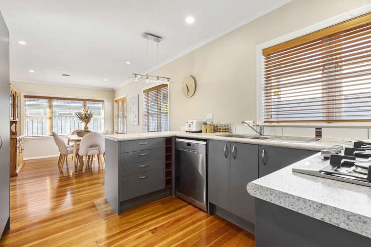 59a Ira Street Miramar_6