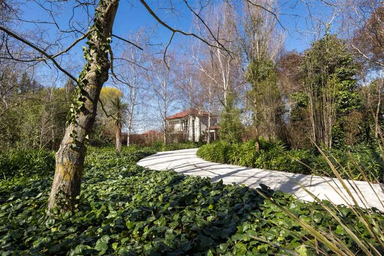 115 Matthews Lane Rapaura_21