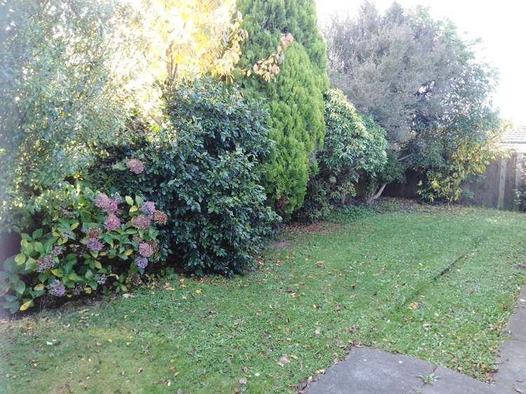 2/336 Wairakei Road Burnside_16