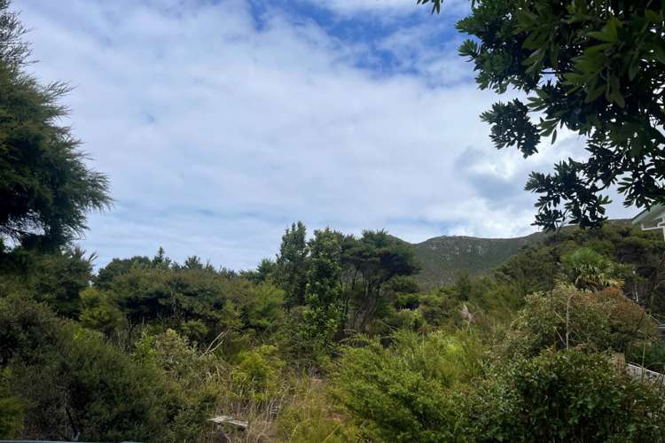 224B Blind Bay Road Great Barrier Island_2