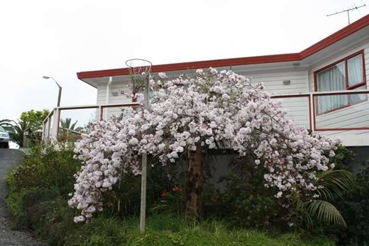 23 Westpark Glen Warkworth_12