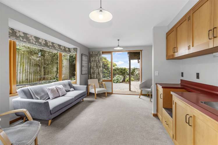 251 Major Hornbrook Road Mount Pleasant_12