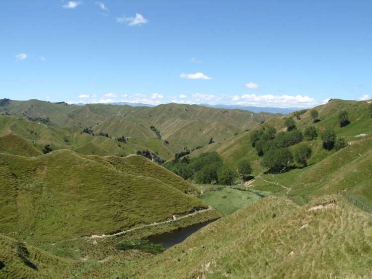 1168 Manui Road Mangaweka_5