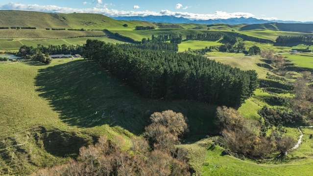 557 Pyramid Valley Road Pyramid Valley_4