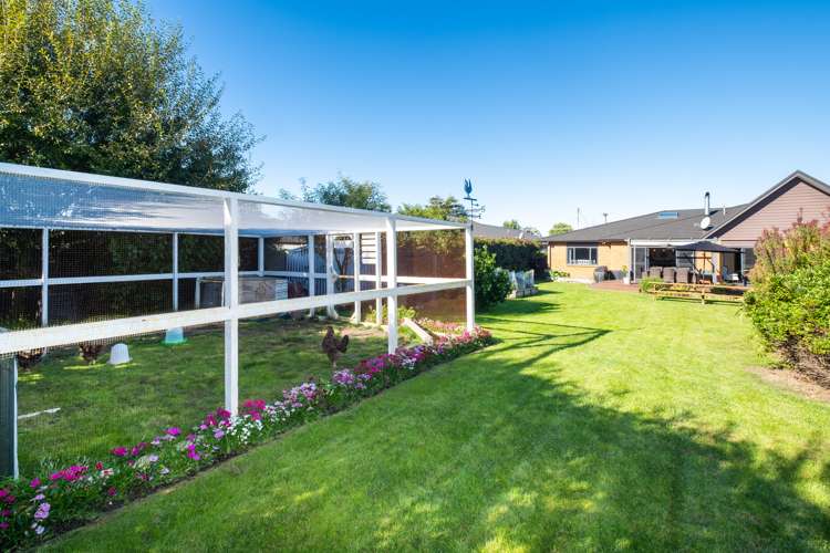 21 Napier Street Jervoistown_19