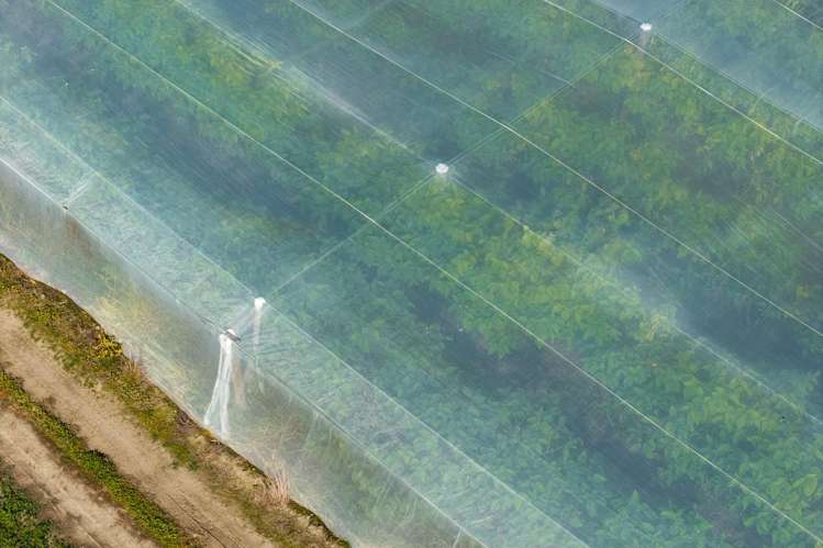 Lot 4 Judd Road Patutahi_13